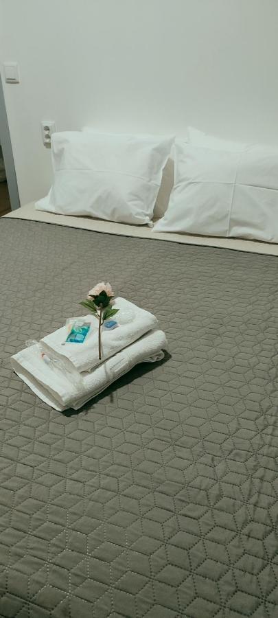 Vila Santa Cruz Guest House Braga Kültér fotó